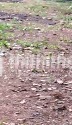 Residential Plot for sale at Mavelikara, Alappuzha