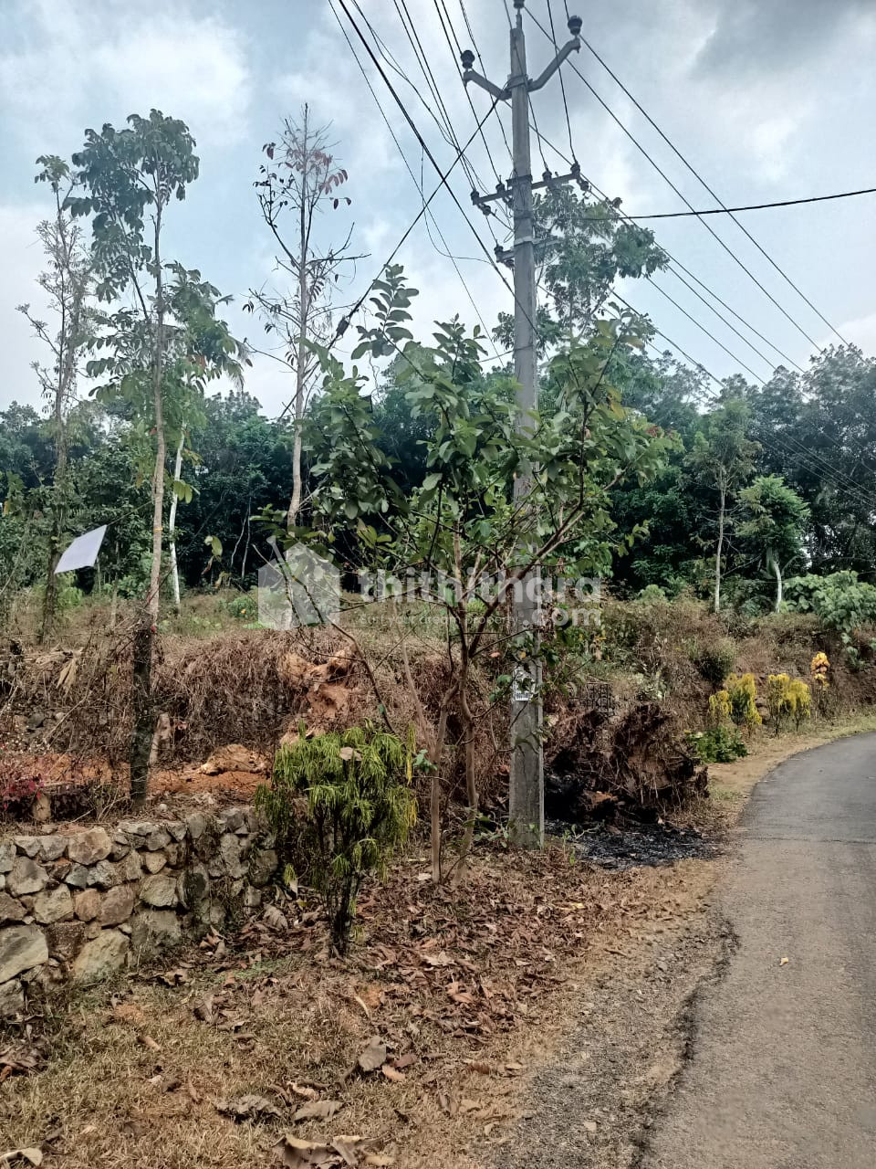 Residential Land for Sale in Puthupalli ,Kottayam