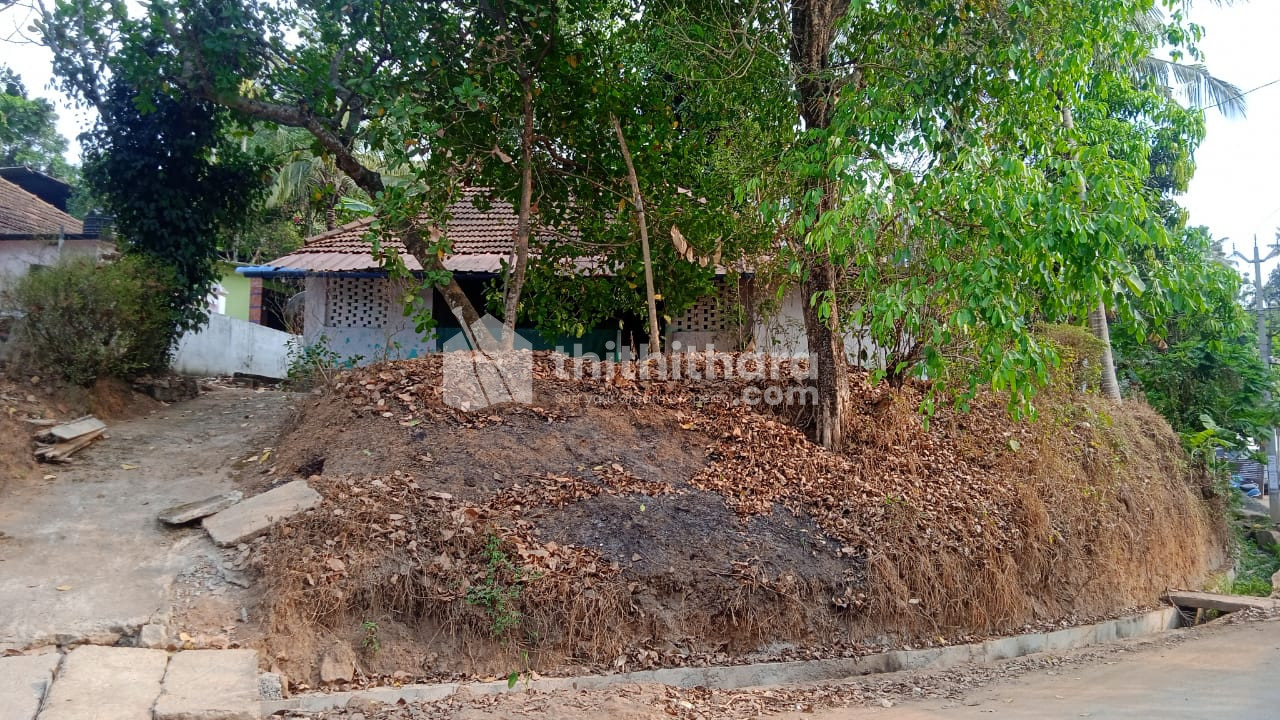 Land for Sale in Punalur,Kollam
