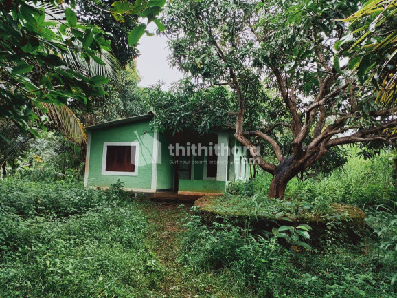 97.5 Cents Agricultural Land for Sale in Akampadam,Palakkad