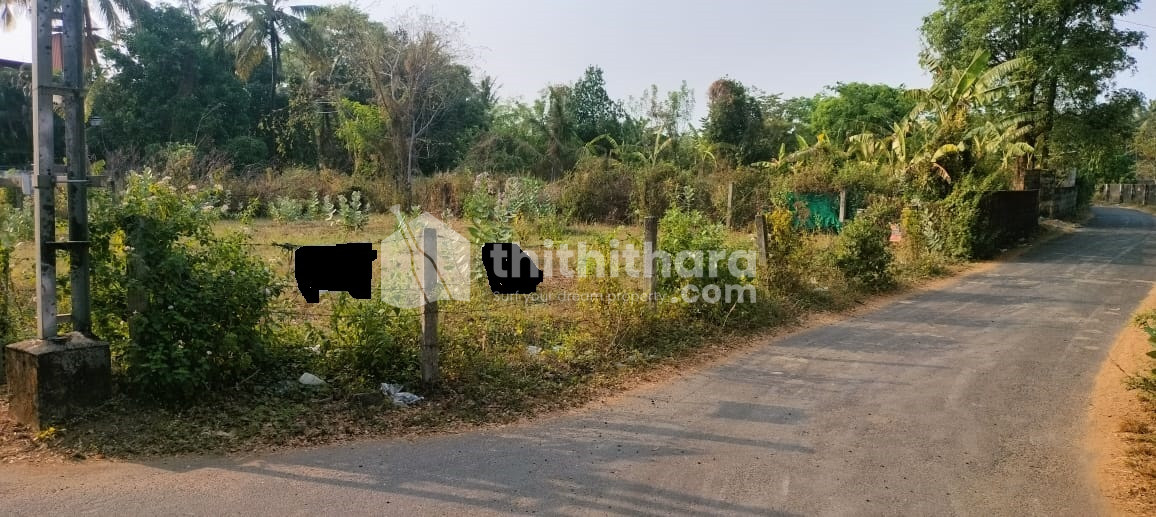 Residential Land for Sale in Chembukkav Thrissur