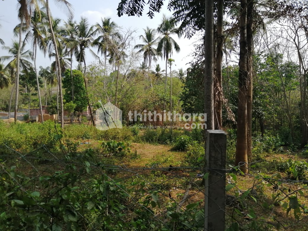 Residential land for sale at Ottappalam Palakkad