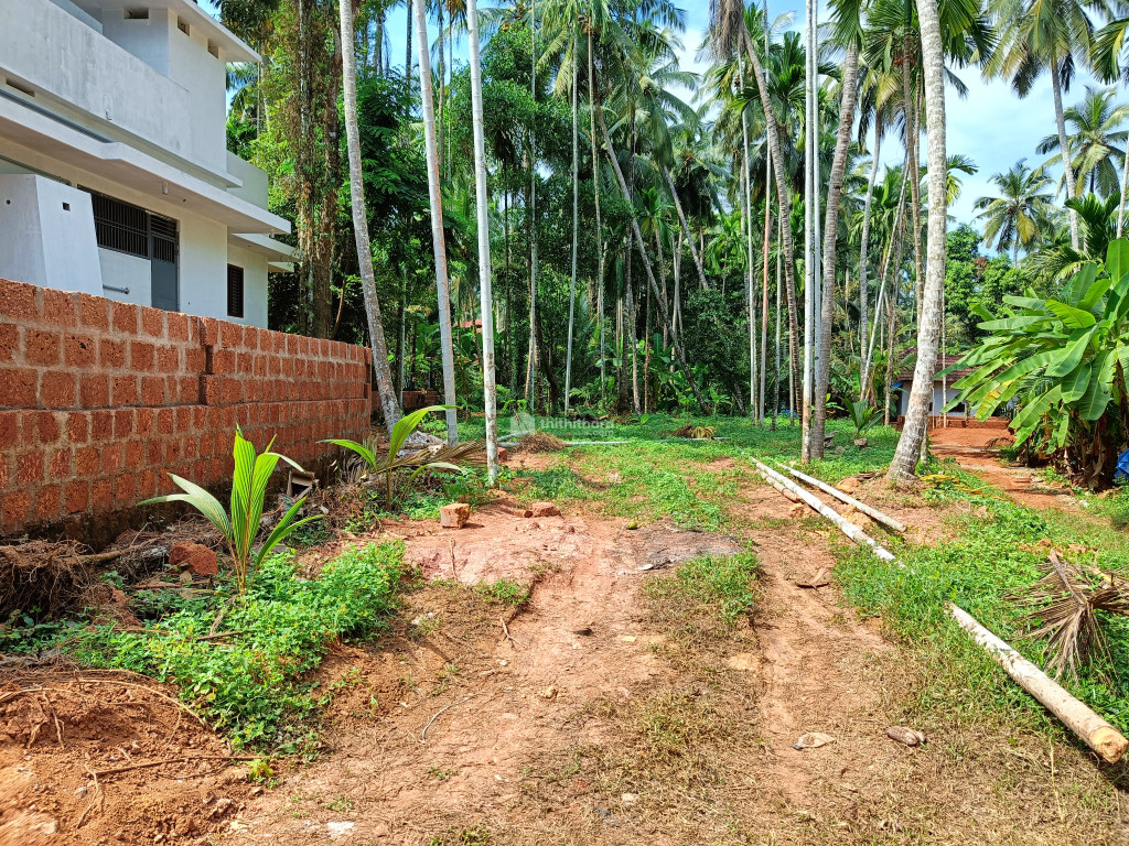 Residential land for sale at Azhiyur Kozhikode