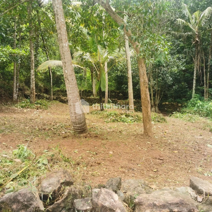 13 Cent plot for Sale at Puliarakonam Thiruvananthapuram