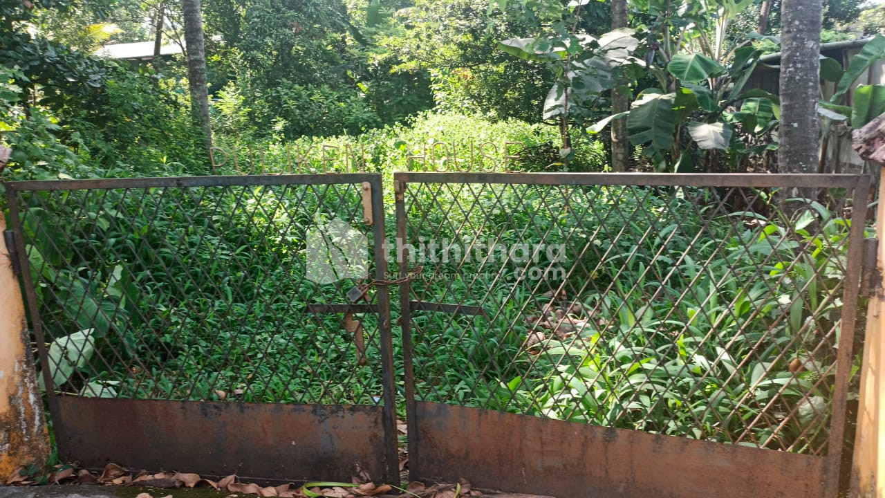 24 cent square  plot kannapuram,olari Thrissur