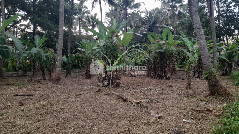 10 cent square  plot, Green field villa,Manakkody