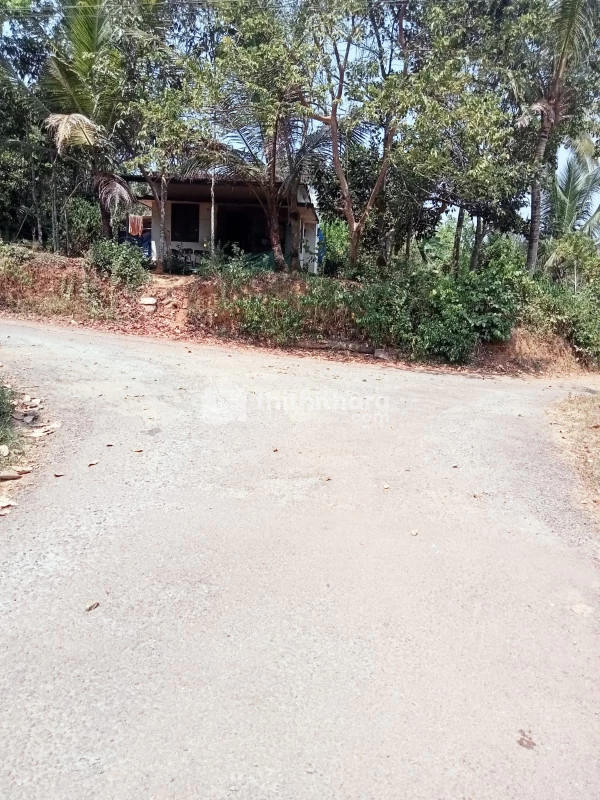 Residential Land for Sale in Thirumarady, Ernakulam 