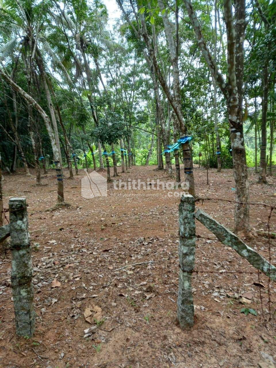 Residential land for sale at Mavelikkara Alappuzha