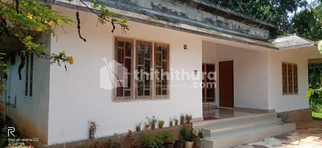 House plot for sale at Vazhavatta Wayanad