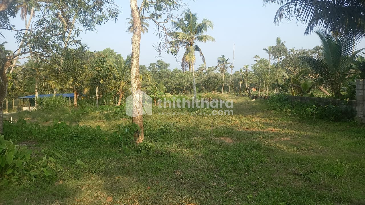 Residential Plot for Sale at Thaickal, Alappuzha