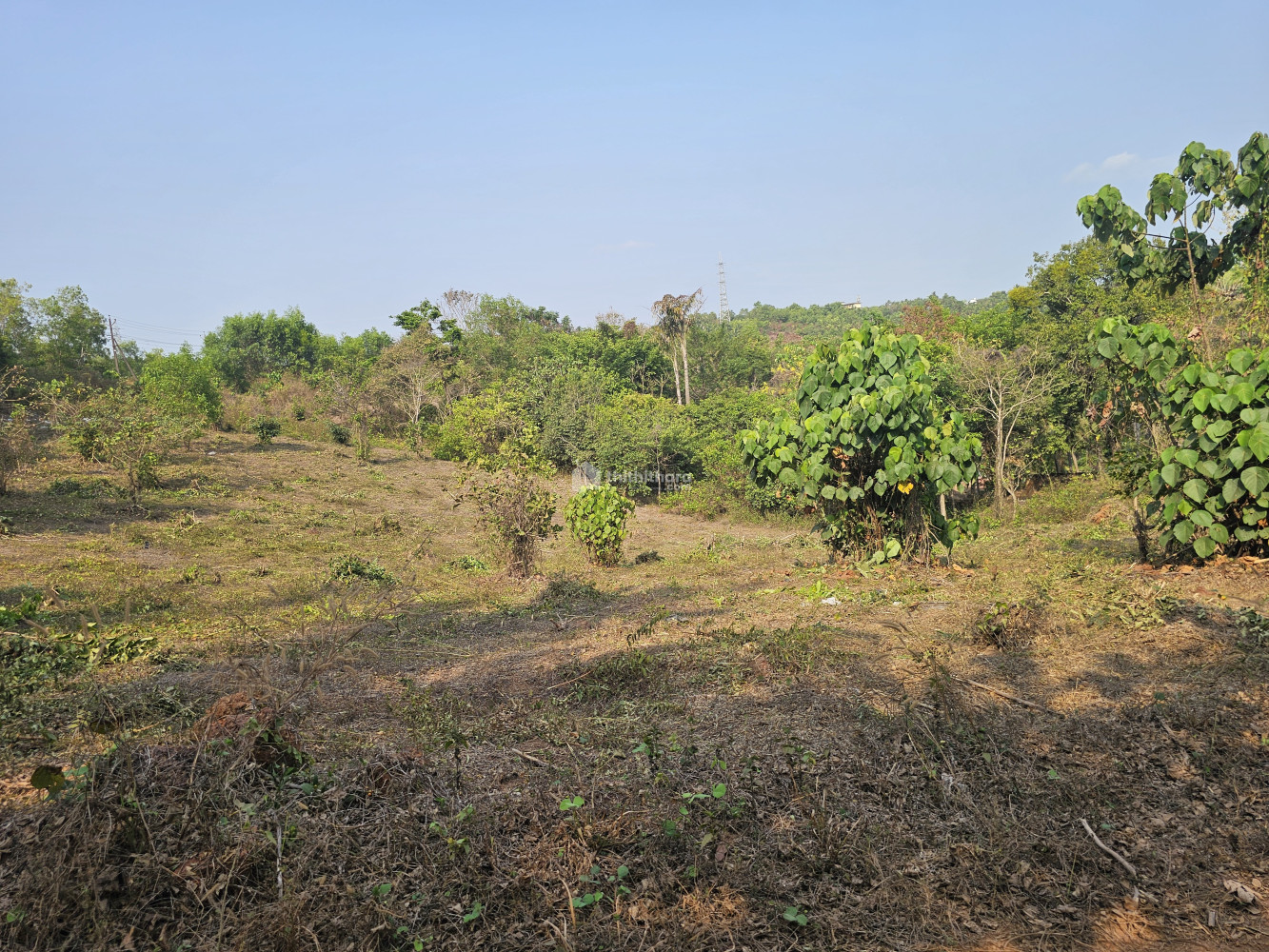 Residential land for sale at Udma Kasargod