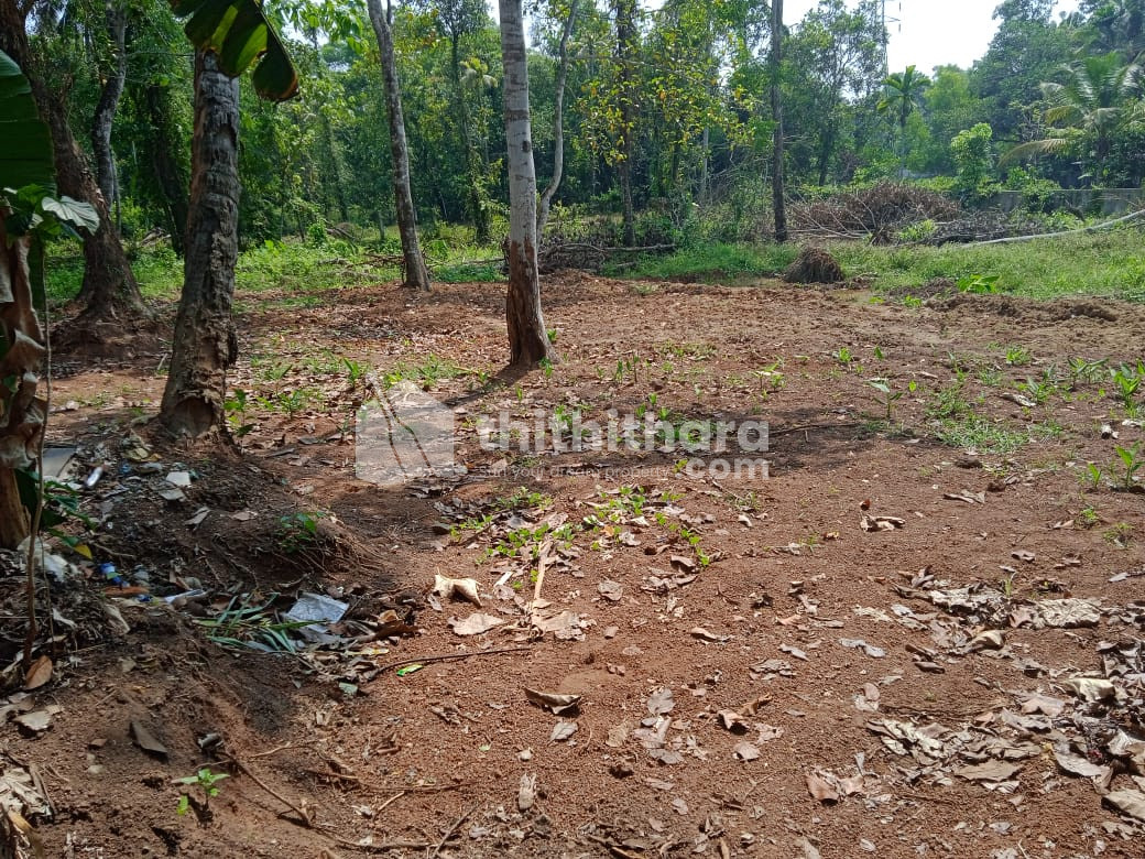 Residential Land for Sale at Manakara, Kollam