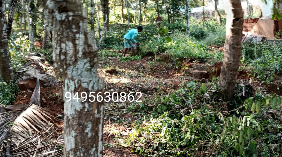 House Plot for sale at Kizhisseri, Kondotty.  സ്ഥലം  ഉടൻ വില്പനക്ക് 
