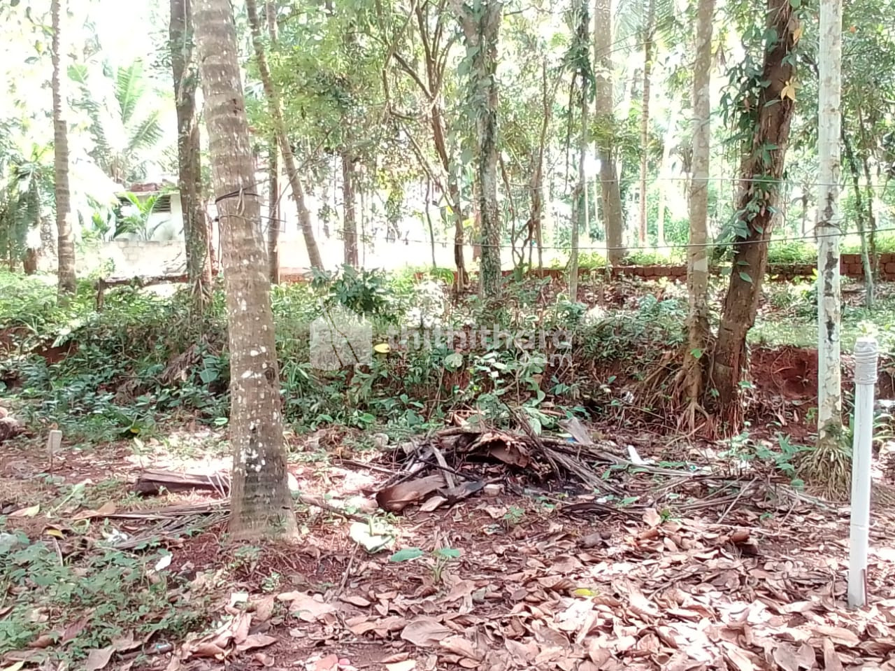 7 cent plot for sale in Velliparamb, Kozhikode