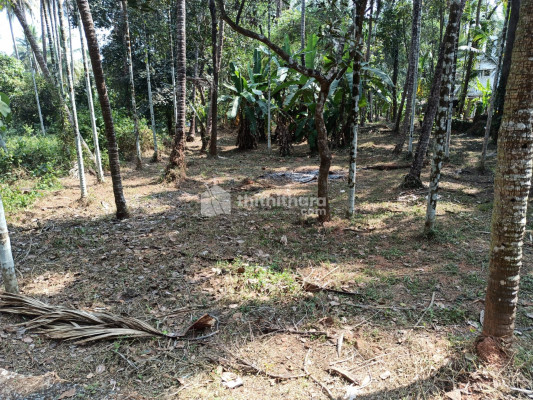 10 Cent Plot for Sale at Thalassery,Kannur
