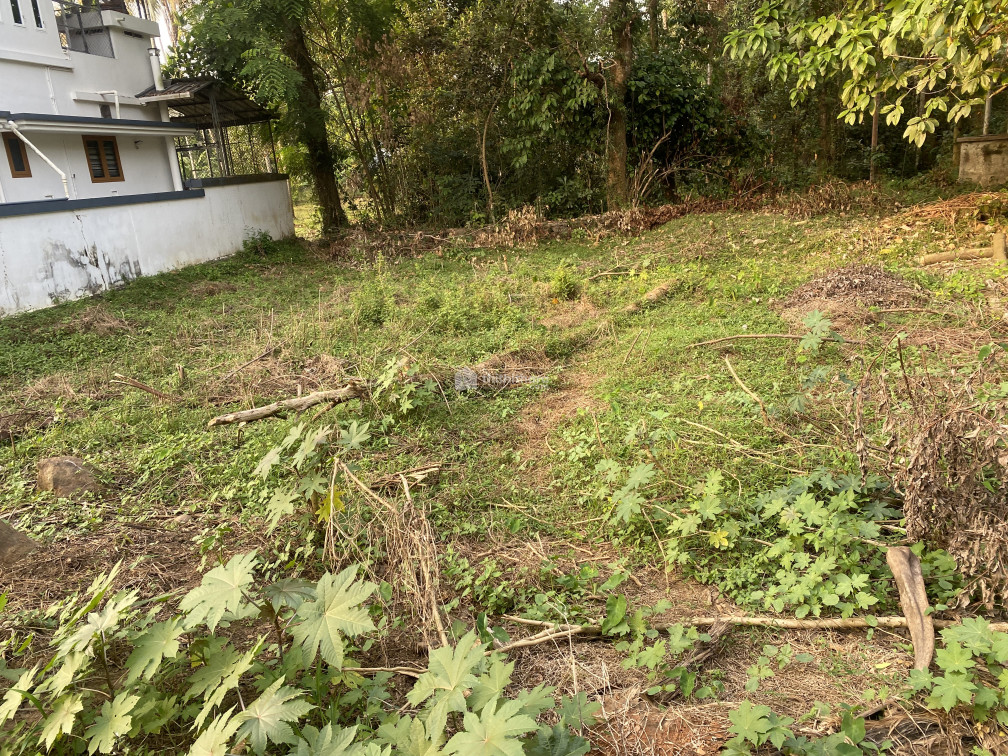 House plot for sale chalakudy Thrissur