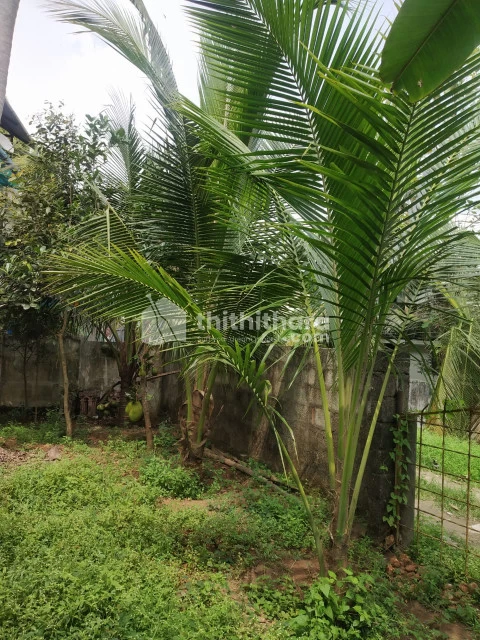 7 CENTS LORRY ACCESS PLOT AT TRIPUNITHURA ERNAKULAM