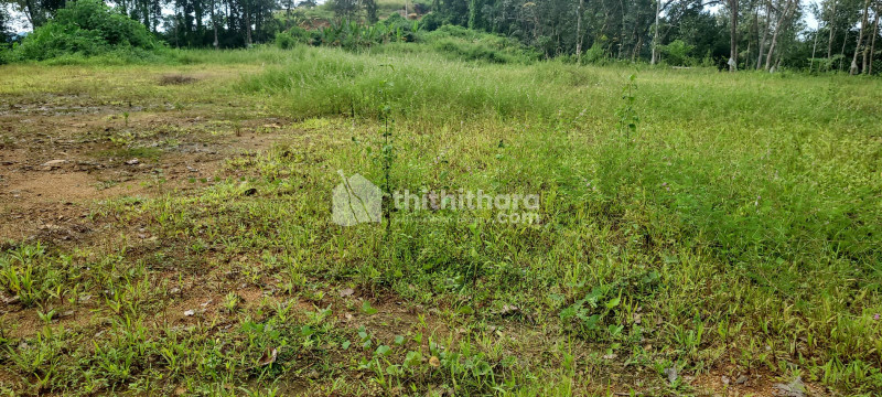 Residential Land for Sale in Panthathala, Kottayam