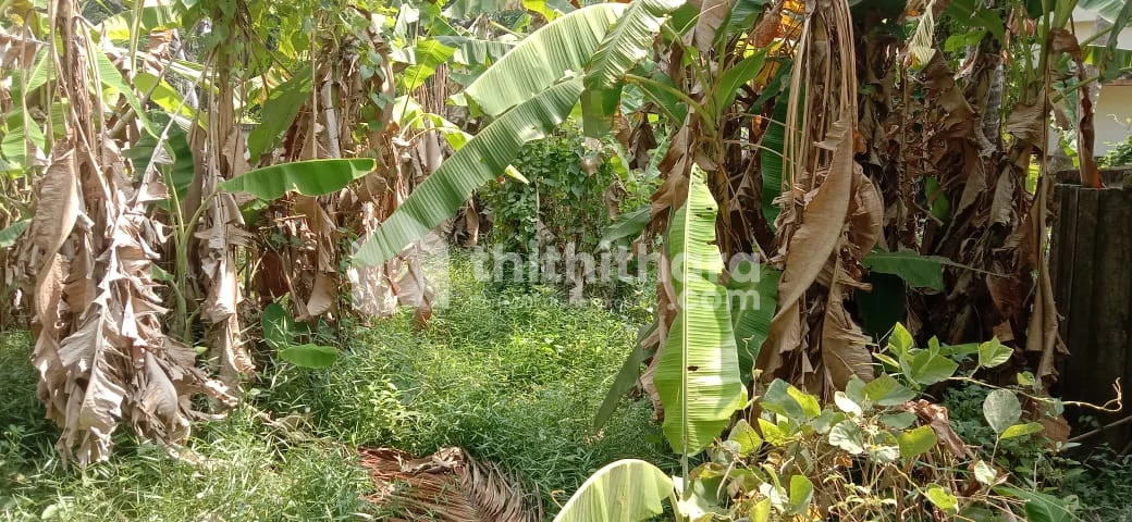 Land for Sale in Valluvalley, Ernakulam