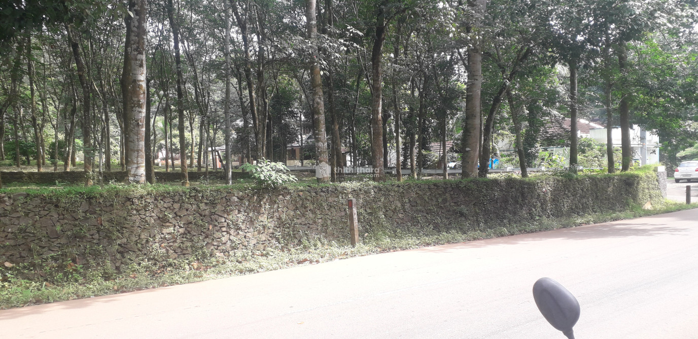 Commercial land for lease at Kaduthuruthy Kottayam
