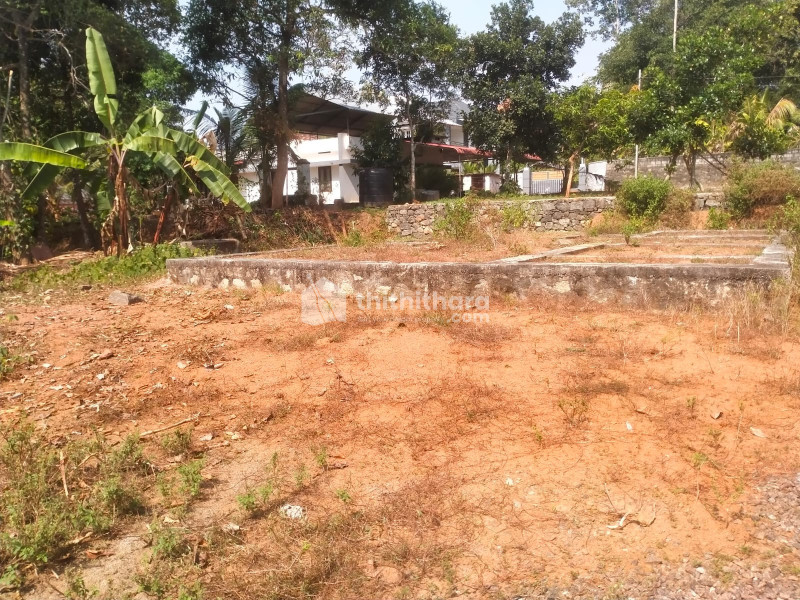 Commercial plot for sale at Kodinattukunnu Kottayam