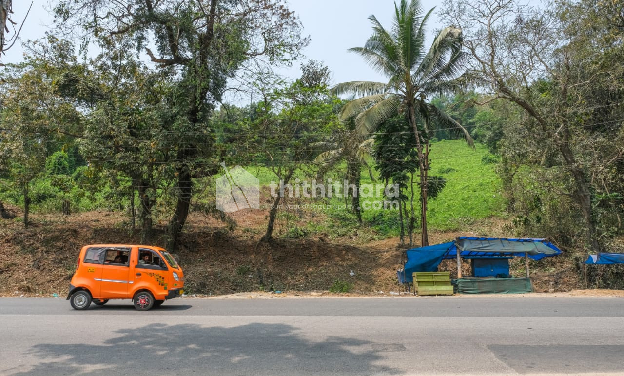 Residential land for sale at Thamarassery Kozhikode