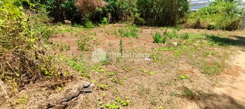 Residential Land for sale at Poochatty, Nadathara  Thrissur(Near Bharatiya Vidya Bhavans Vidya Mandir), Thrissur