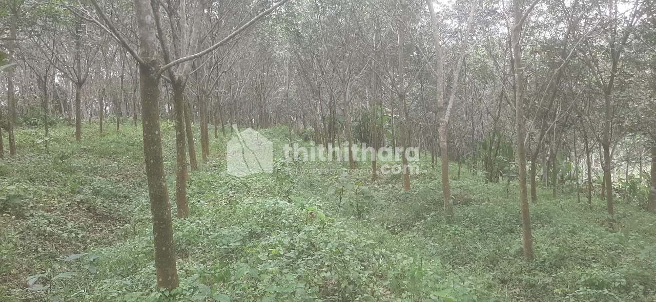 Residential land for sale at Edayam Kollam