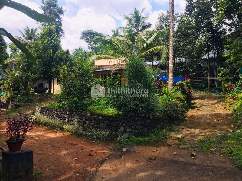 Land for Sale at Thodupuzha Idukki