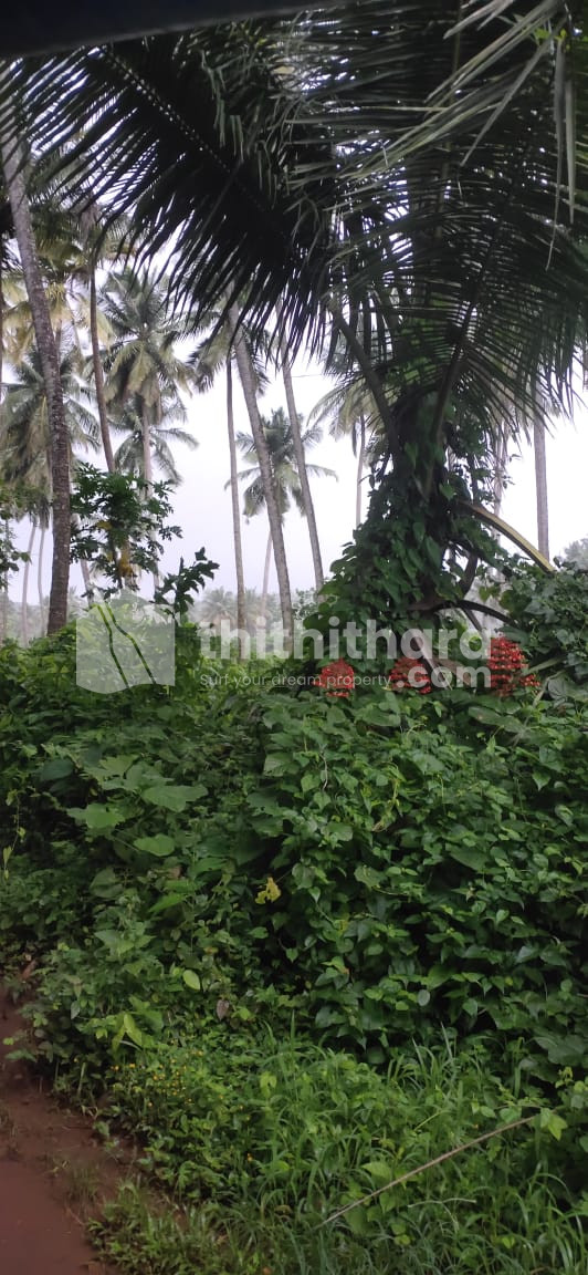 Residential land for sale at Parali Palakkad