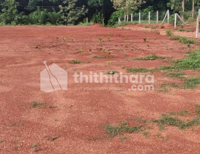 പാലക്കാട് പറളി പ്രകൃതി സൗഹൃദ അന്തരീക്ഷ സ്ഥലം വിൽപ്പനയ്ക്ക് 