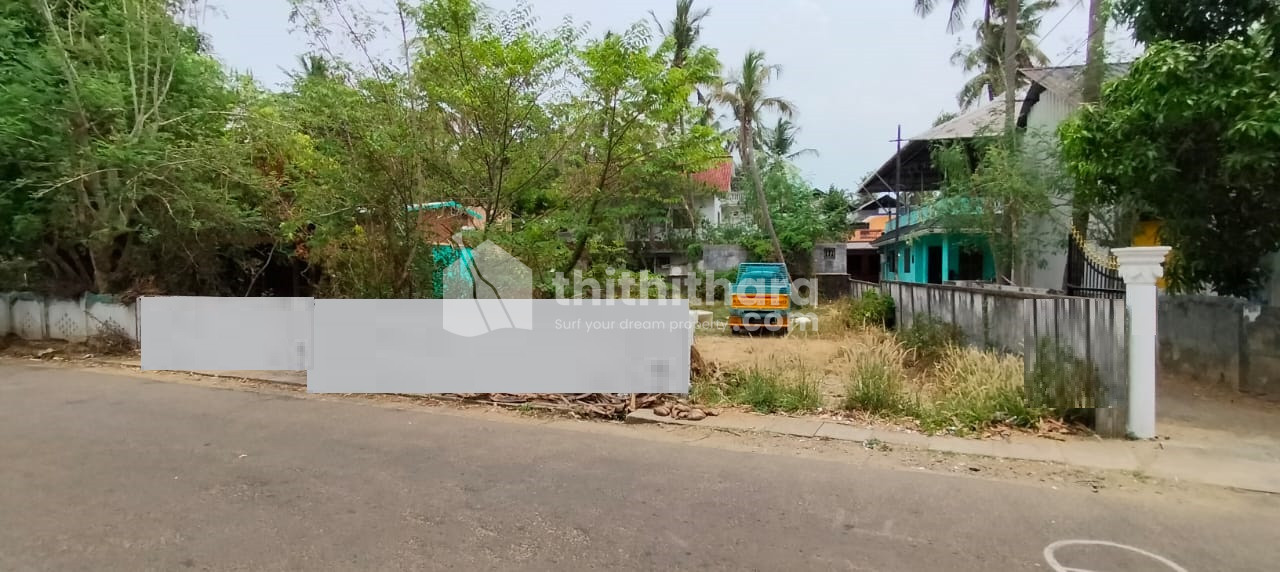 Commercial / Residential Land for Sale Near Kalathode Center, Thrissur.