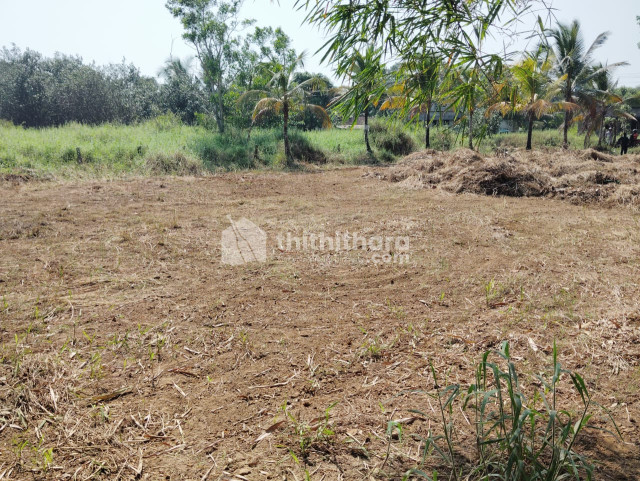 Agricultural plot for sale in Manipuzha Kallumkal region Pathanamthitta 