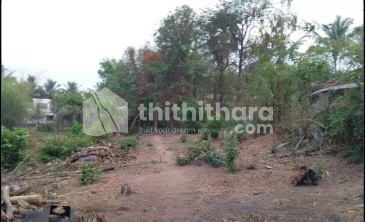 Residental land for sale at Palakkad ciy Palakkad
