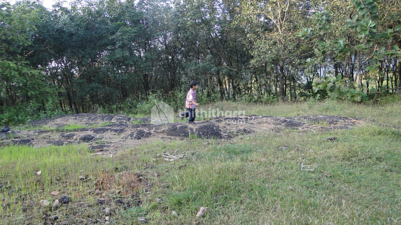 LAND FOR SALE AT CHALAKUDY THRISSUR