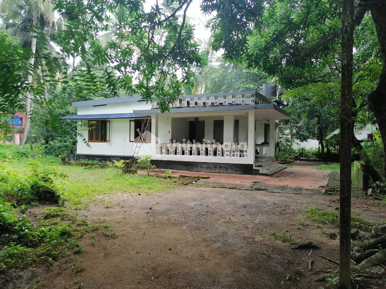 43.5 Cent Residential Land for Sale in Mannur, Feroke