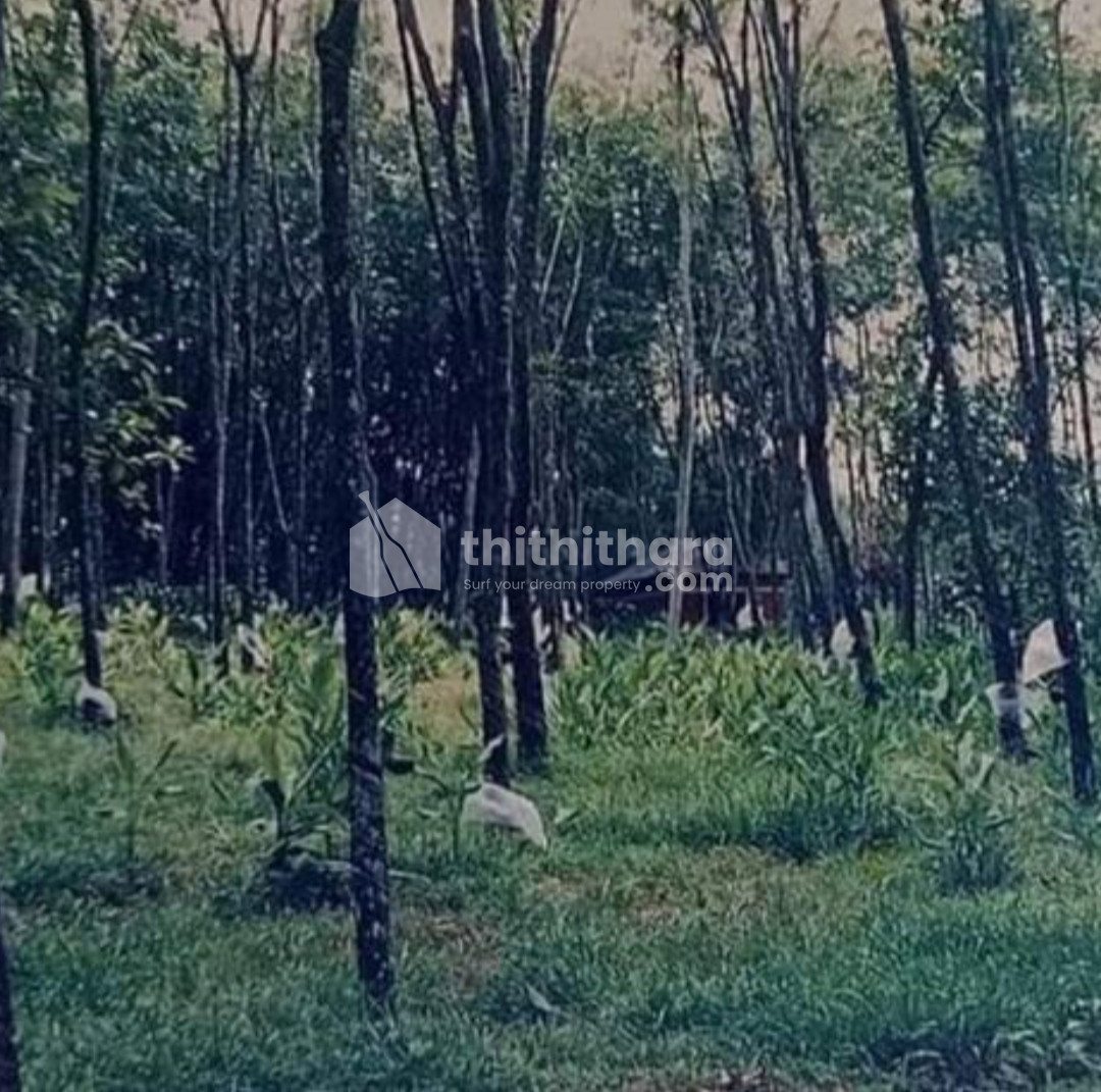 Rubber Purayidam for sale in Kottayam, Kanjirappally, Kappad