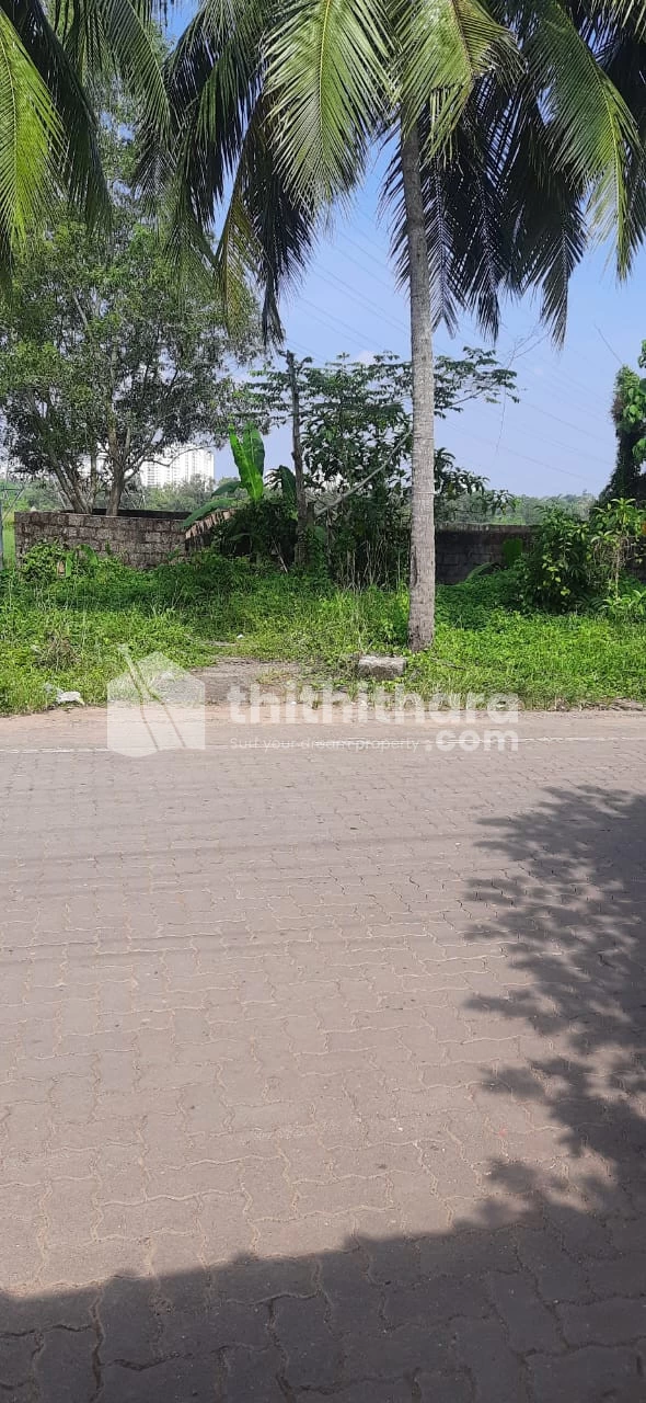 Land for Sale in near kakkanad  infopark  phase 2, Ernakulam