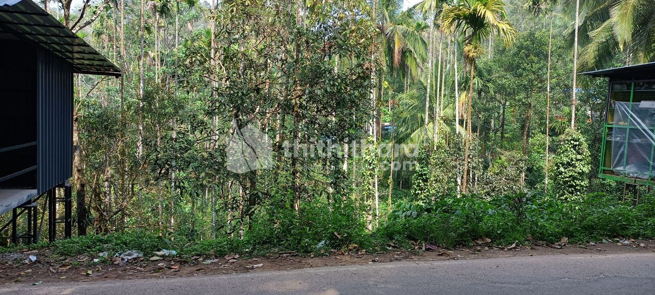 10 cent plot for sale  Near Pookode lake Vythiri, Wayanad