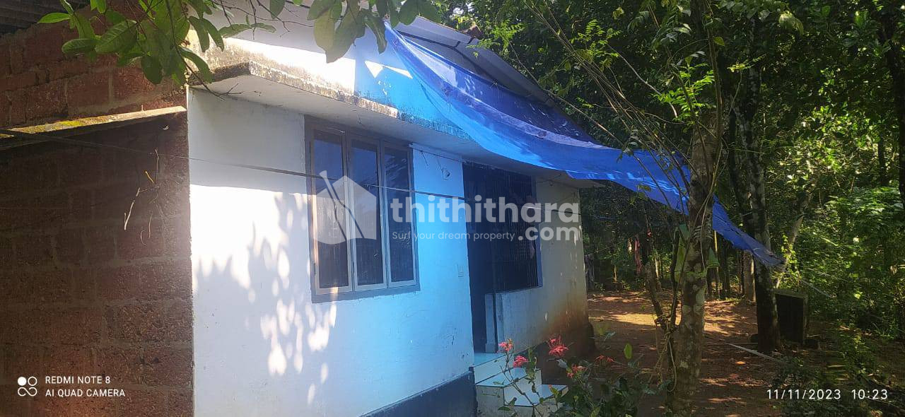 Residential house for sale at Thaliparamba Kannur