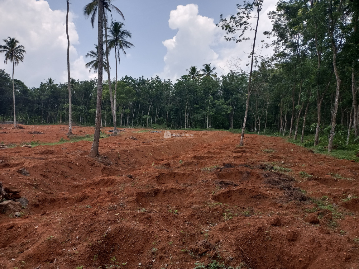 Industrial land for sale at Konni Pathanamthitta