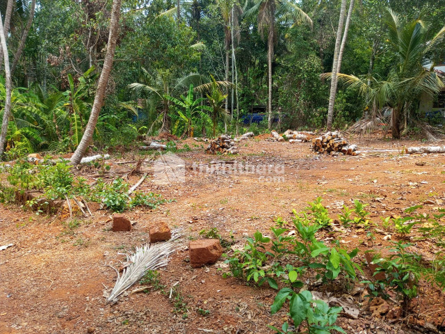 Residential land for sale at Olipram Malappuram