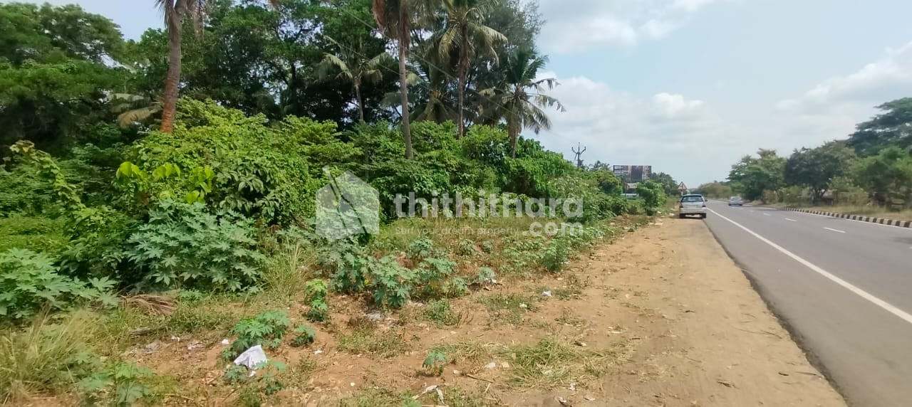 Commercial Land for Sale in Nadathara Ernakulam Highway side, Thrissur