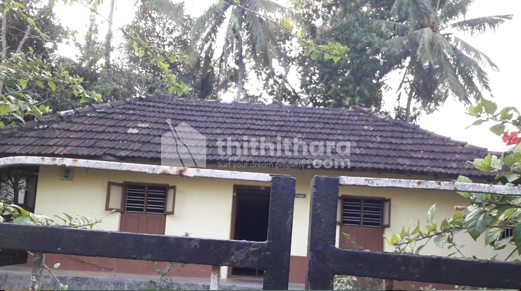 Residential land for sale at Parli Palakkad