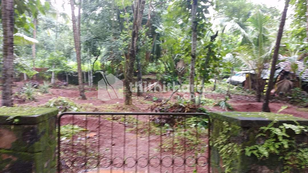 Residential land for sale at Thalakkassery Palakkad