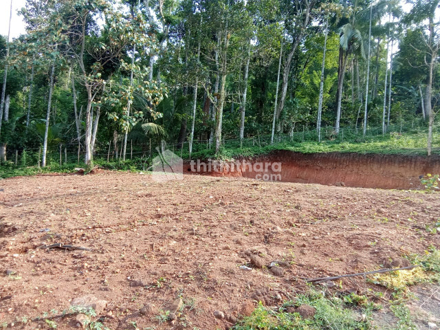 Residential land for sale at Sulthanbathery Wayanad