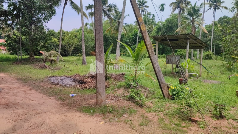 Residential Land for Sale in Naduvattom,Alappuzha