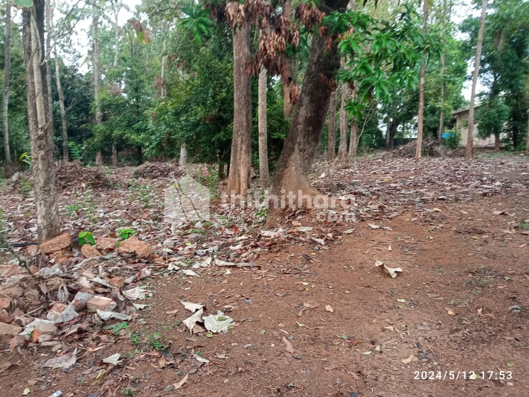 Plot for sale in Nedumbassery , Ernakulam