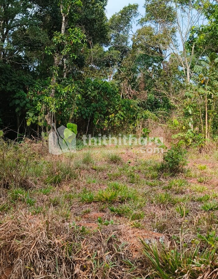Prime 64 cents flat land @ Cherupuram, Rajakkad