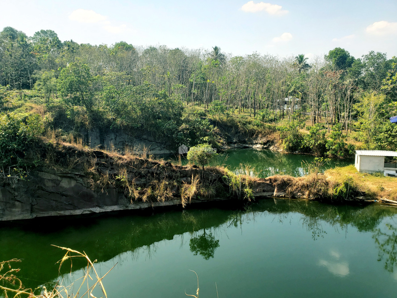 Agricultural Land for sale at Kangazha Kottayam